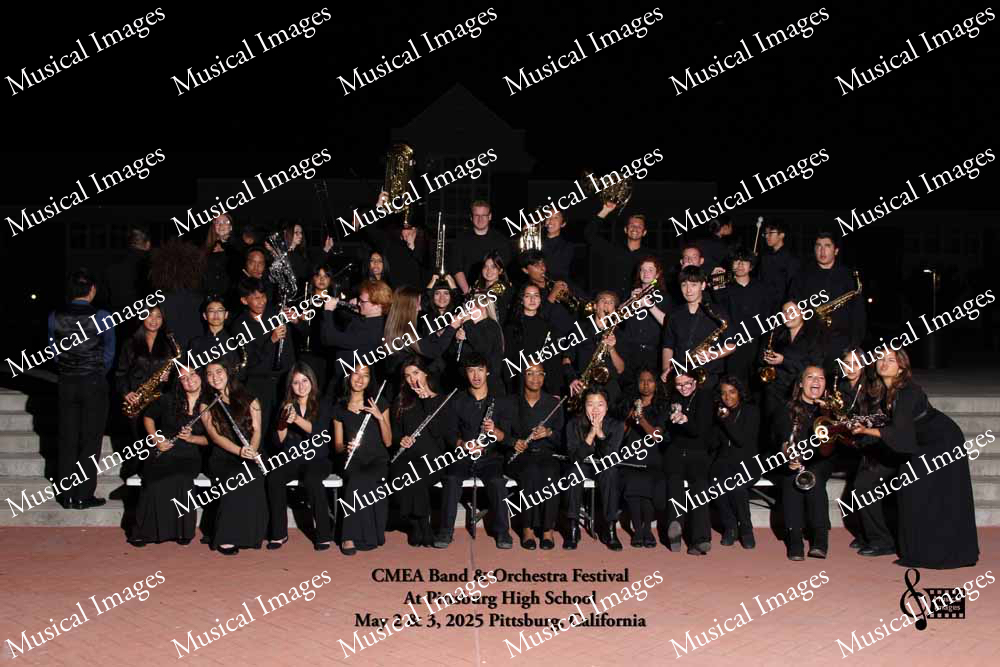 Musical Images